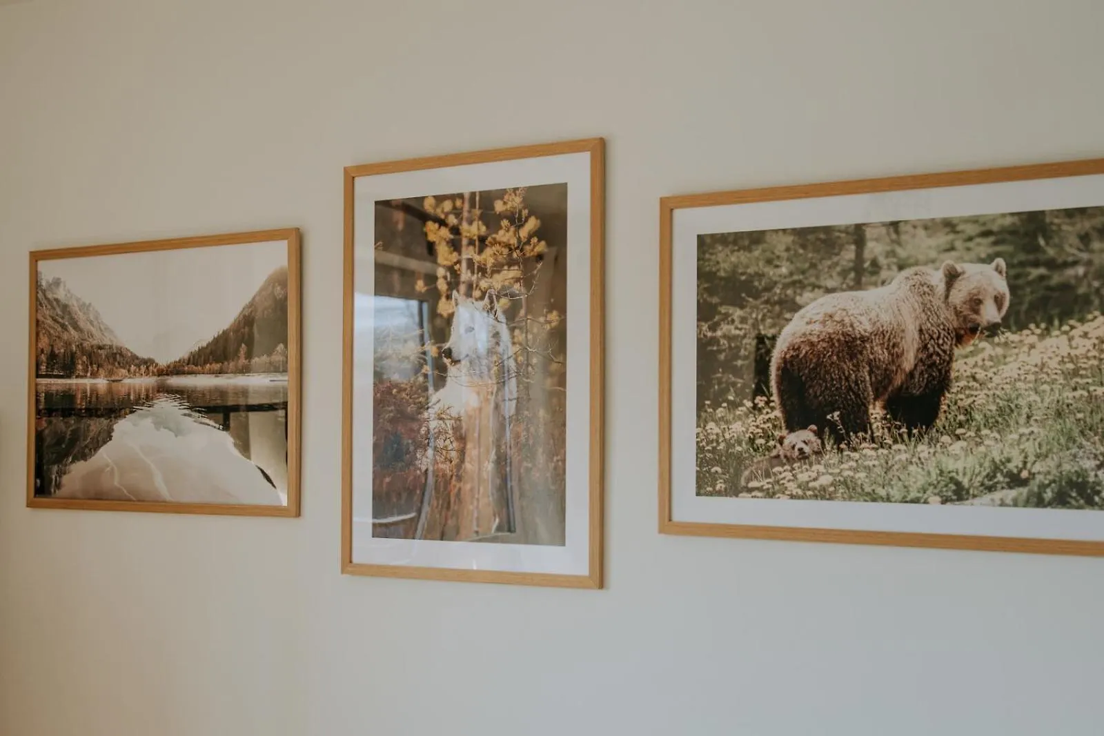 Apartamenty widokowe Zakopane